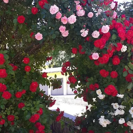 Haus Rohrmoser ゲストハウス Lungötz