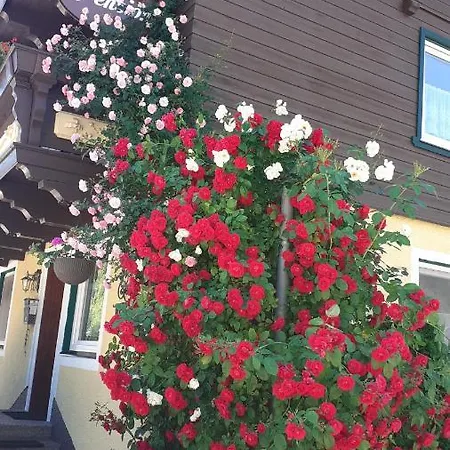 Haus Rohrmoser Lungötz