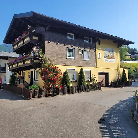 Guest house Haus Rohrmoser 3*