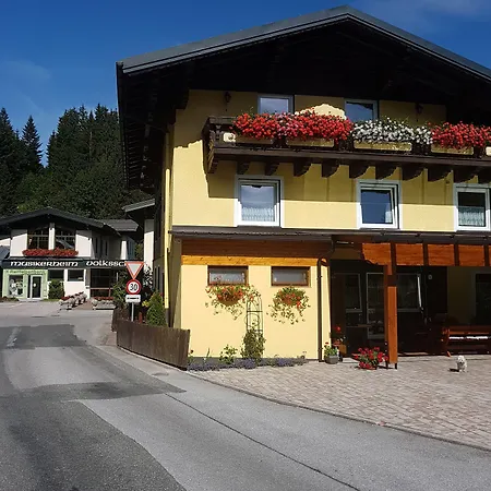 Guest house Haus Rohrmoser 3*
