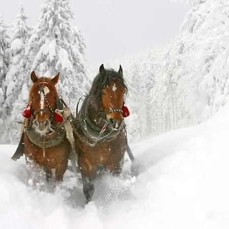 招待所 Haus Rohrmoser