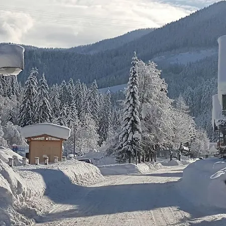 Guest house Haus Rohrmoser