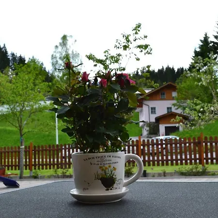 Haus Rohrmoser 3* Lungotz