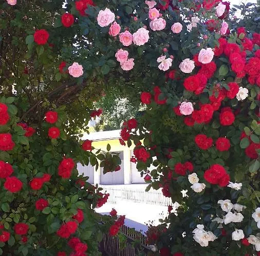 Haus Rohrmoser 招待所 Lungötz