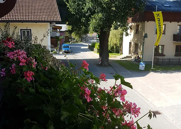 Haus Rohrmoser 招待所 3*