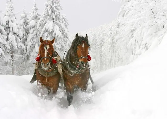 招待所 Haus Rohrmoser